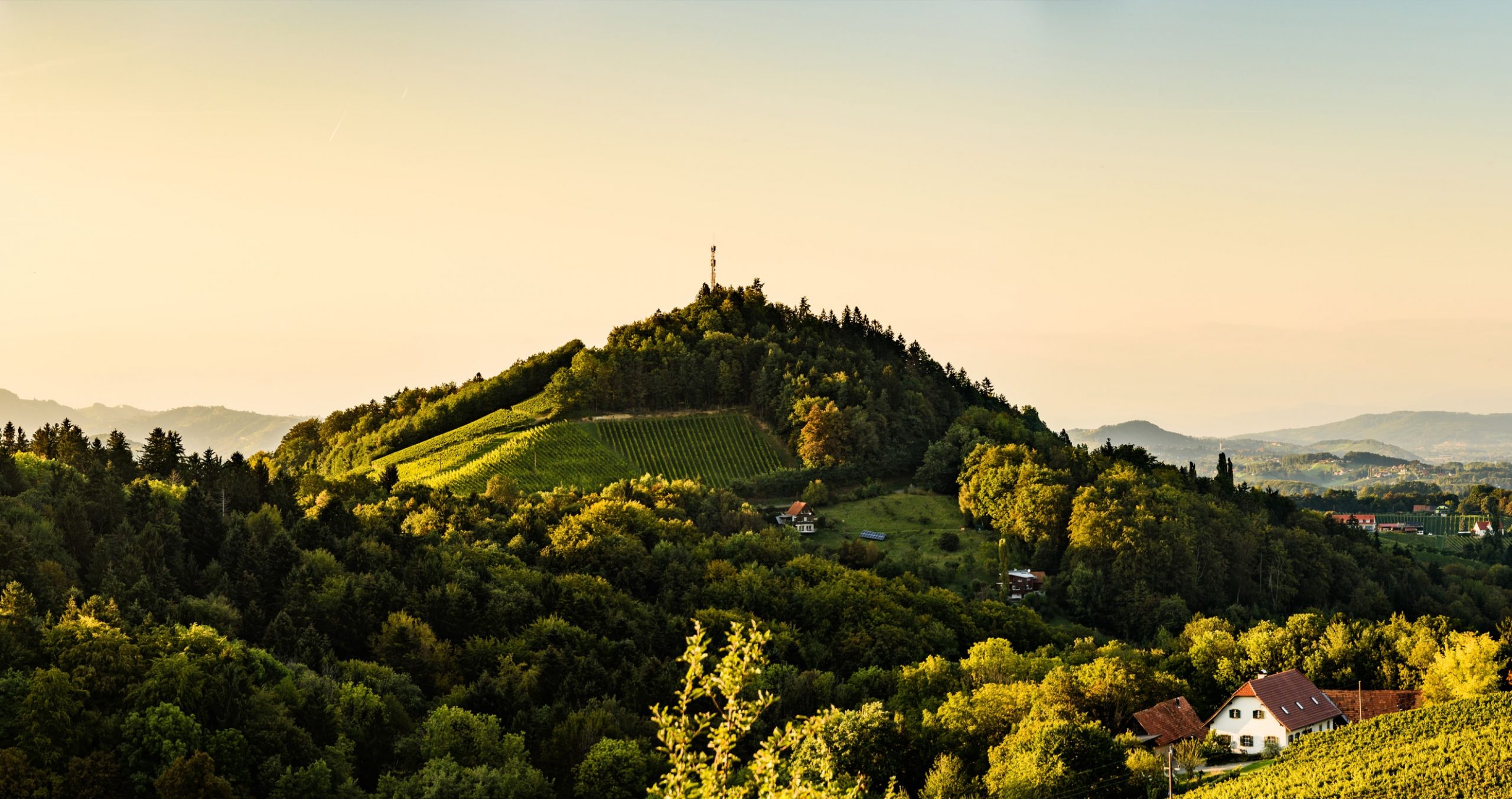 Grüne Berglandschaft