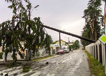 Ein umgefallener Baum, der die Straße kreuzt